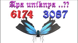 6174 terbaru