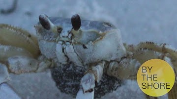 VIC3001 Module 3 Slideshow Exercise