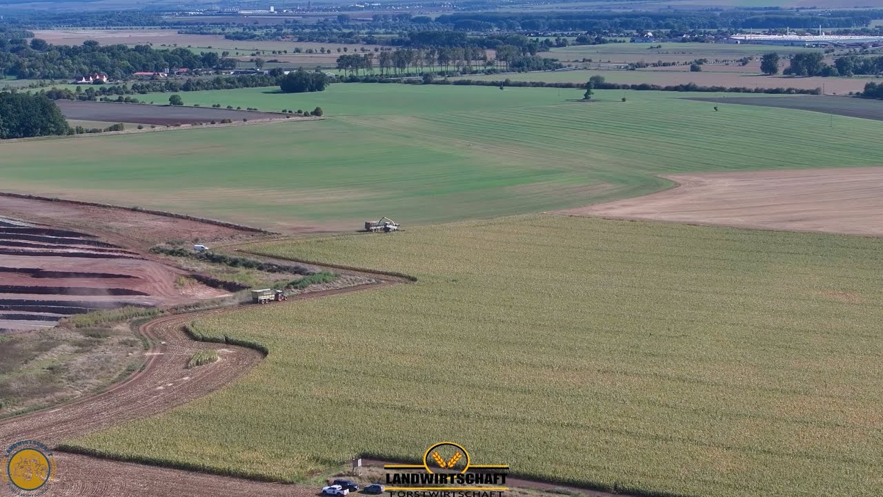 Die letzte Fläche für heute! Schaffen wir die bis 18 Uhr? Grauer Jaguar 990 TT Häckselt Mais für BGA