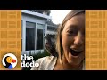 Rescued Baby Robin Never Forgets His Human Mom | The Dodo Faith = Restored