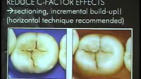 Lecture 2 by Dr. Pascal Magne