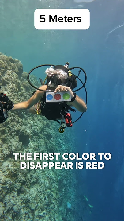 Why does everything look blue underwater? 🌊🎨