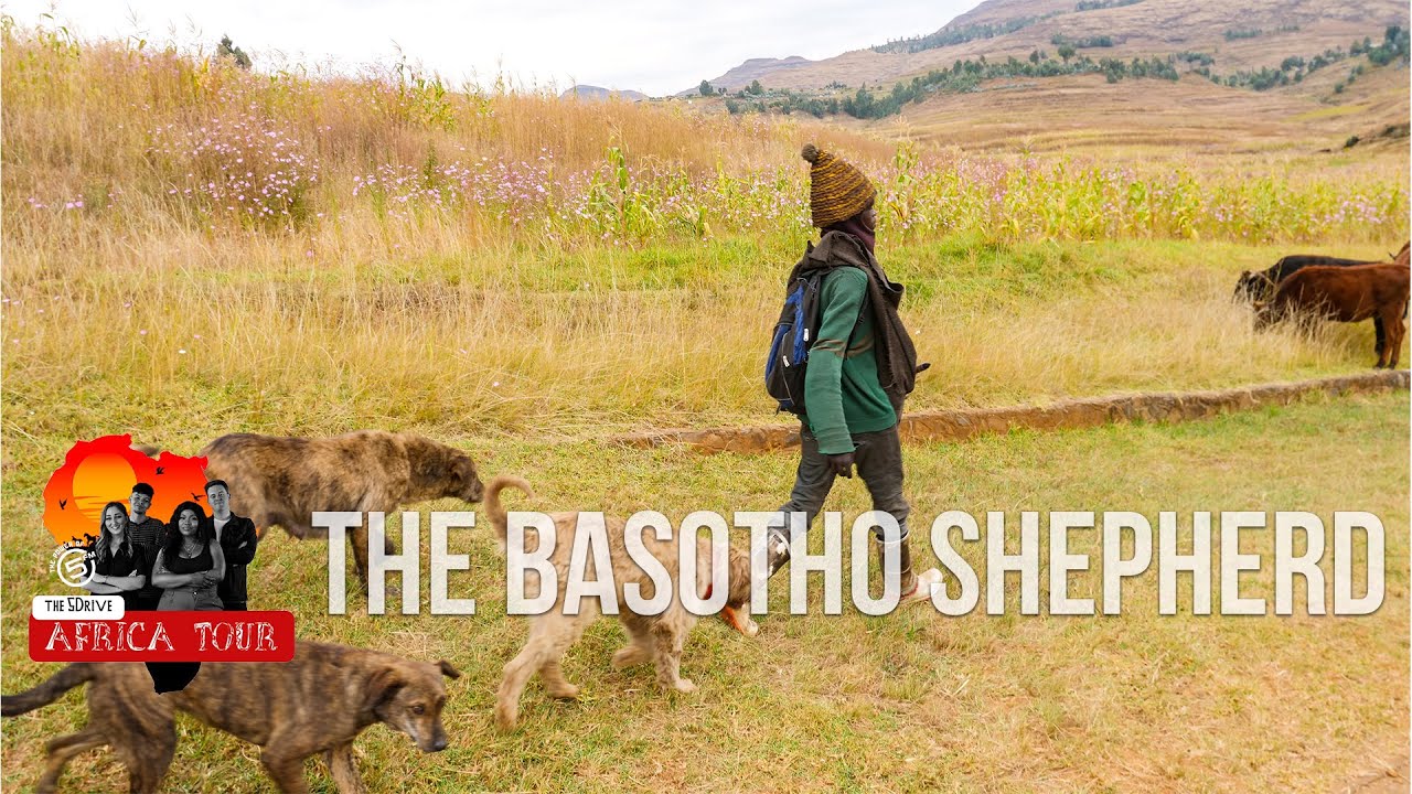 Download BONUS CONTENT: 🇱🇸 The Basotho Shepherd | 5 Drive Africa Tour