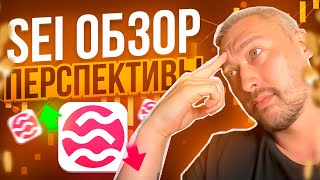 ОБЗОР SEI: САМЫЙ БЫСТРЫЙ БЛОКЧЕЙН В МИРЕ ИЛИ ОЧЕРЕДНАЯ СКАМИНА?