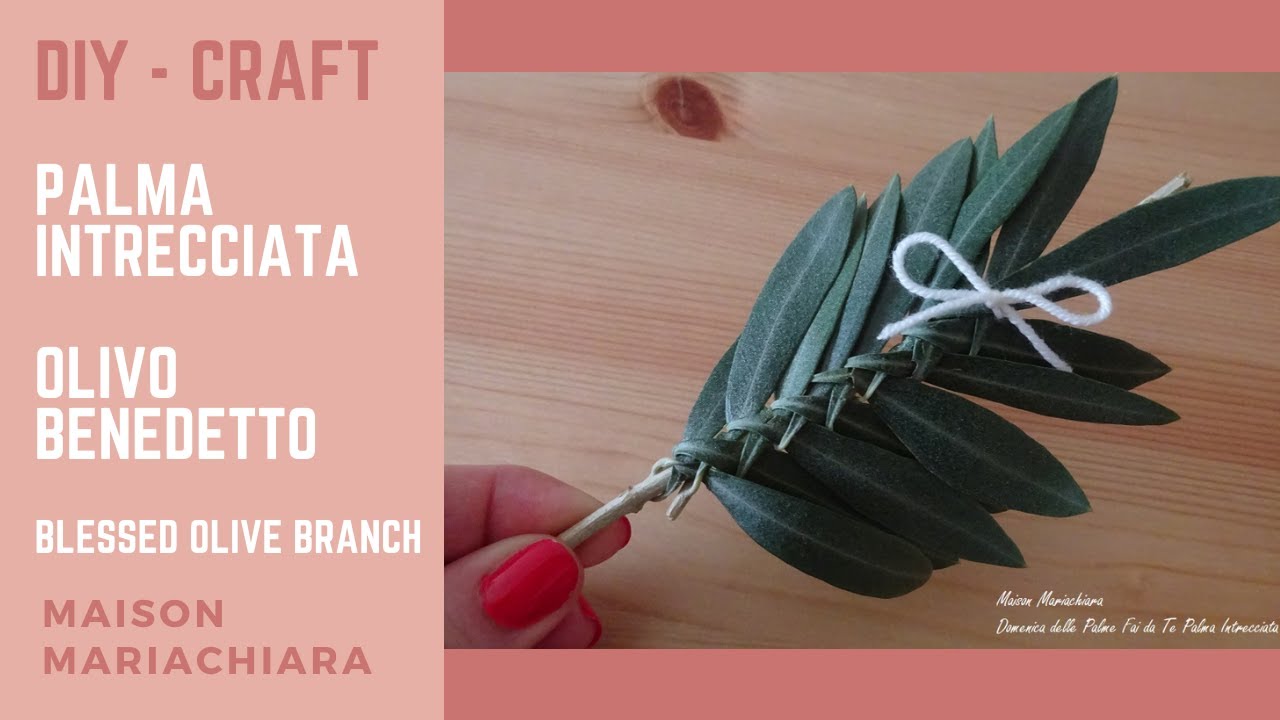 Fai da te Palma Intrecciata Olivo Benedetto Diy Blessed Olive Palma Entrelazada maisonmariachiara