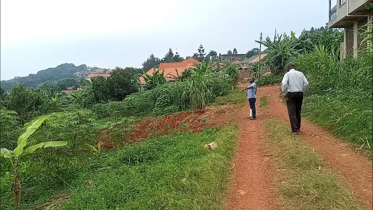 50ft by 100ft plot for sale in Bunamwaya New Tarmac road 100MILLION