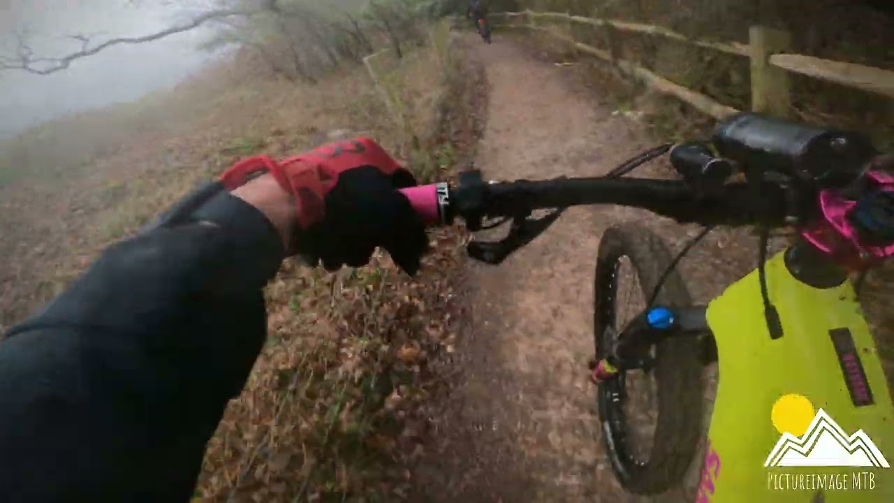 Not So British Summertime - Sunday  Faleigh Loop