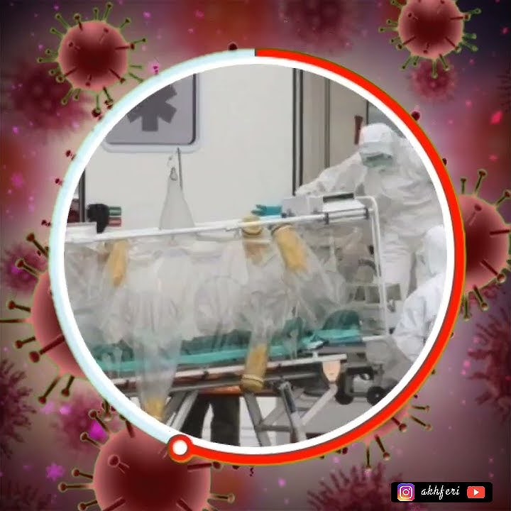 Animasi Story WA & Instagram (Celoteh Camar Tolol - Iwan Fals)