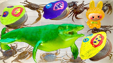 Kem Ốc Chanel và con cua ra đồng bắt cá sấu hỏa tiễn và con trai trai ma quái, cứu con cá, labubu.