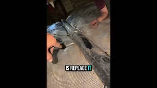 Doing the right thing #sewerrepair #affordableplumbingsolutions #plumbing