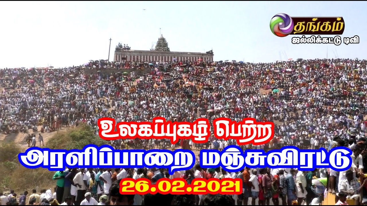 உலகப் புகழ் பெற்ற அரளிப்பாறை மஞ்சுவிரட்டு 2021|தங்கம் ஜல்லிக்கட்டுடிவி|ARALIPPARAI MANJUVIRATTU 2021