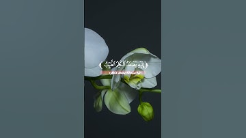 سورة فاطر - الاية 10