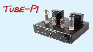 FX-AUDIO Tube-P1 _(Z Reviews)_ Tube SPEAKER amp.. Woot.