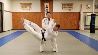Yoko Ukemi progressive drill.