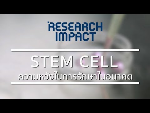 Stem cell ความหวังในการรักษาในอนาคต : Research Impact [by Mahidol]