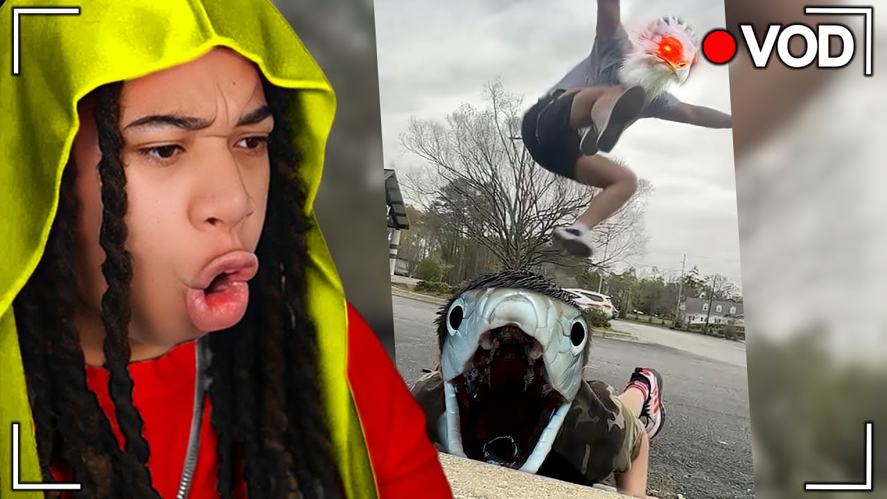 CRAZY AUSTRAILIAN ANIMALS You Couldn't Take On