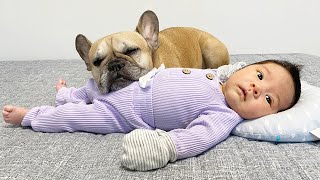 Loyal Dogs Protect and Take Care Of Newborn Baby
