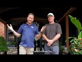 Garrett Cleavinger and Ryan Bass Try Kansas City BBQ