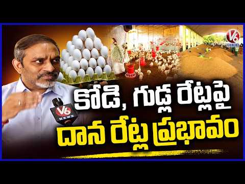 Soaring Poultry Feed Costs Shows Impact On Chicken & Egg Rates | V6 News - V6NEWSTELUGU