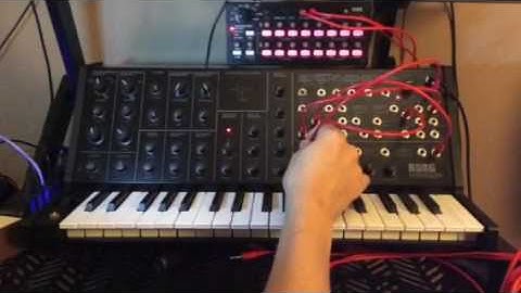 Korg Ms-20 Duophonic, Paraphonic synth using external signal processor patch.