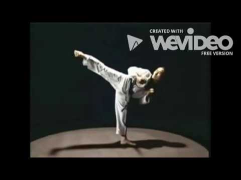 الركلة الجانبية يوب تشاجي Side Kick Yop Chagi 