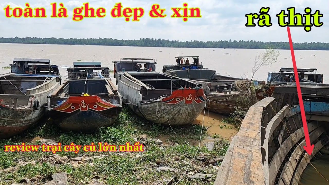 # 146 Chuyên Làm Thịt Ghe & Ra Cây Sao Cũ Đẹp Xịn Xò  / Boats