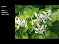 Beginning of video