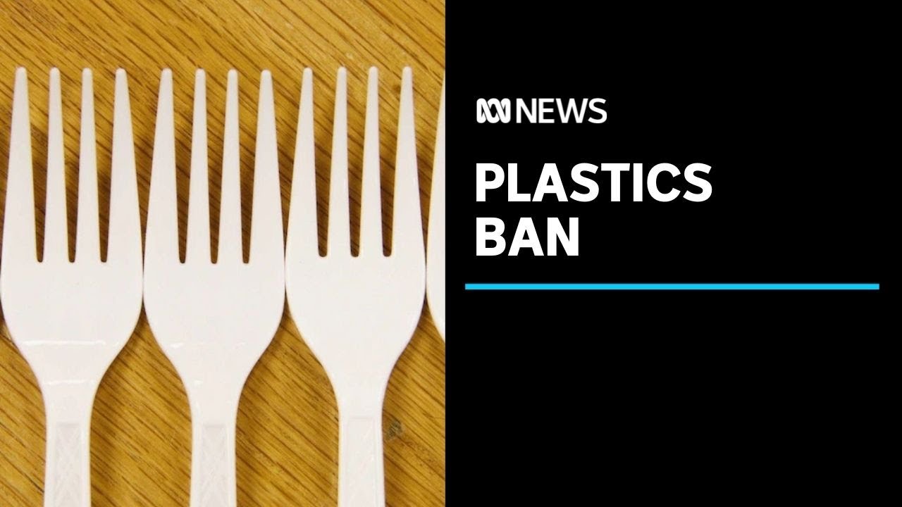 Single use plastics ban from takeaway shops comes into force in Hobart