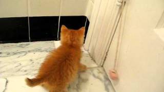MVI_4900.AVI