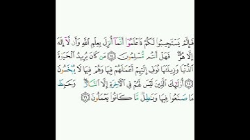 11 - سورة هود ١٤-١٦ - ماهر المعيقلي