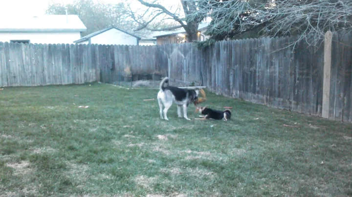 Jordan and kona