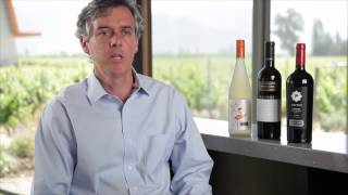 Chile Expedition: Viña Santa Ema