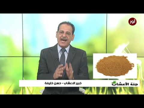 فقر الدم الأنيميا نقص الحديد خافظ للسكري حرق الكلسترول مع خبير الاعشاب حسن خليفة جنة الاعشاب