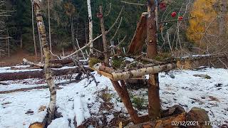 Progetto osservatorio fotografico Carvignone - monitoraggio fauna selvatica