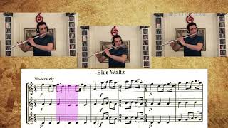 HANS P. KEUNING - JAZZY FLUTES - Blue Waltz No.5 (SCOLLİNG) //BILLFLUTE//