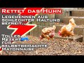 Rettet das Huhn - Legehennen aus schlechter Haltung - Abholung mit dem Tesla Model S