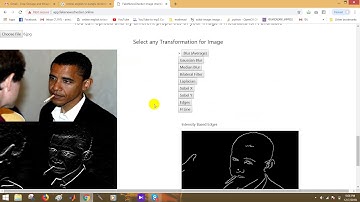 Tutorial For Detecting Fake Images Using Our Application