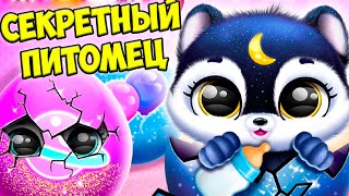 СЕКРЕТНЫЙ малышами ОБНОВЛЕНИЕ Fluvsies, питомецухаживаю за.