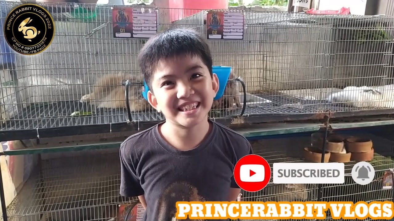 PRINCE RABBIT VLOGS ( NEW VLOGER ) update ni prince sa rabbitry ! - YouTube