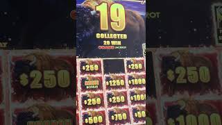 BIGGEST BUFFALO JACKPOT OF MY LIFE #gambling #casino #slots screenshot 4