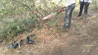 Apple Bor Cutting Machin Se