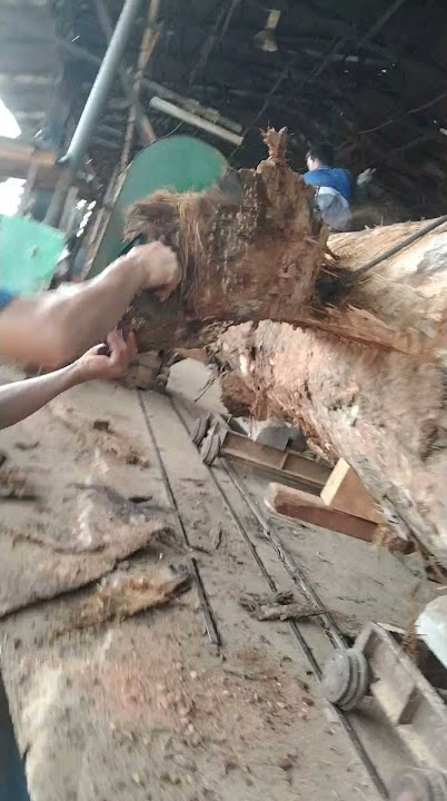 ini lh kerja proses membelah kayu balak...ok guys