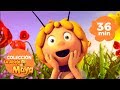 La abeja Maya - ¡colección de episodios! - 36 minutos de dibujos animados