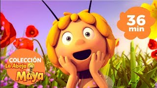 La abeja Maya  ¡colección de episodios!  36 minutos de dibujos animados