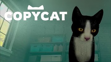 Adopting A New Cat (CopyCat Demo)