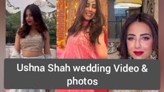 Ushna Shah Hot Outfit Video At Wedding