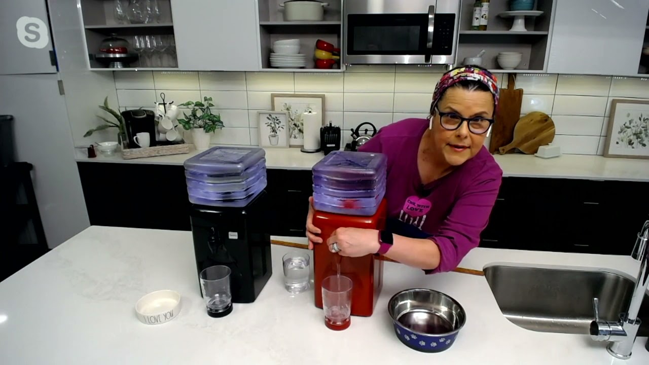 Little Luxury 1-Gallon Portable Mini Water Filter w/ (2) Filters on QVC