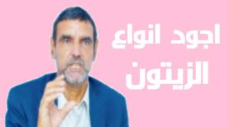 Dr Mohamed El Faid | نصائح الدكتور محمد الفايد | اجود انواع الزيتون