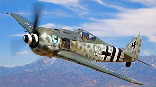 How One Pilot's "Reckless" Barrel Roll Evaded 20 Focke-Wulfs Over the English Channel