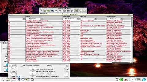 Sine Nomine at Wakefield RISC OS Show 2017